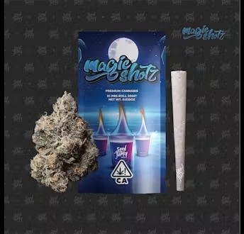 pre-roll produced by Seed Junky Genetics Magic Shotz [.5g]