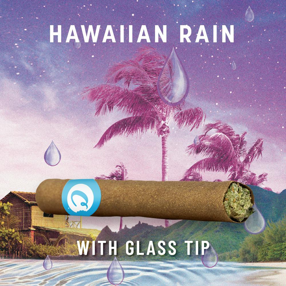 Hawaiian Rain [2g]